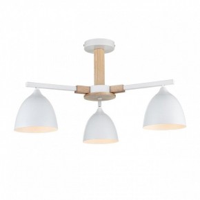 Люстра на штанге Lumion Colange 8095/3C в Камышлове - kamyshlov.ok-mebel.com | фото 2