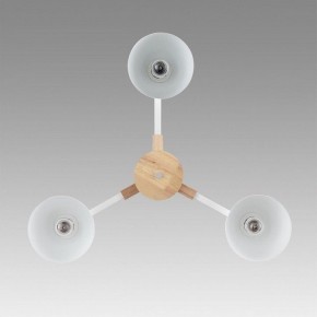 Люстра на штанге Lumion Colange 8095/3C в Камышлове - kamyshlov.ok-mebel.com | фото 3