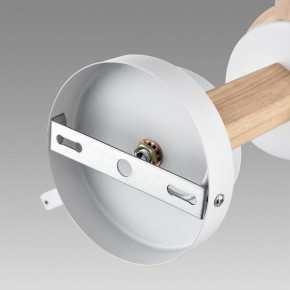 Люстра на штанге Lumion Colange 8095/3C в Камышлове - kamyshlov.ok-mebel.com | фото 6