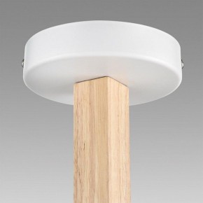 Люстра на штанге Lumion Colange 8095/3C в Камышлове - kamyshlov.ok-mebel.com | фото 9