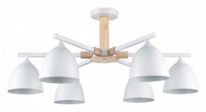 Люстра на штанге Lumion Colange 8095/6C в Камышлове - kamyshlov.ok-mebel.com | фото