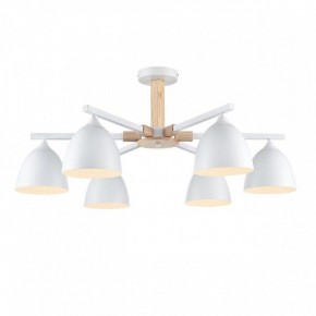 Люстра на штанге Lumion Colange 8095/6C в Камышлове - kamyshlov.ok-mebel.com | фото 2