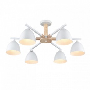 Люстра на штанге Lumion Colange 8095/6C в Камышлове - kamyshlov.ok-mebel.com | фото 3
