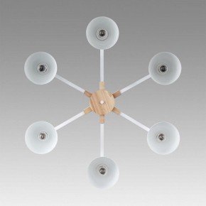 Люстра на штанге Lumion Colange 8095/6C в Камышлове - kamyshlov.ok-mebel.com | фото 4