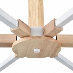 Люстра на штанге Lumion Colange 8095/6C в Камышлове - kamyshlov.ok-mebel.com | фото 7