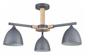 Люстра на штанге Lumion Colange 8096/3C в Камышлове - kamyshlov.ok-mebel.com | фото