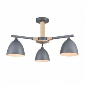 Люстра на штанге Lumion Colange 8096/3C в Камышлове - kamyshlov.ok-mebel.com | фото 2