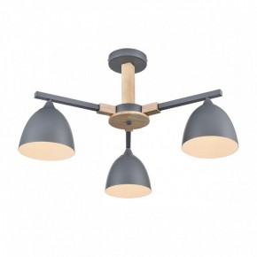 Люстра на штанге Lumion Colange 8096/3C в Камышлове - kamyshlov.ok-mebel.com | фото 3