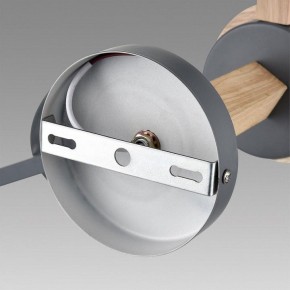 Люстра на штанге Lumion Colange 8096/3C в Камышлове - kamyshlov.ok-mebel.com | фото 6
