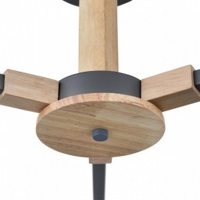 Люстра на штанге Lumion Colange 8096/3C в Камышлове - kamyshlov.ok-mebel.com | фото 7
