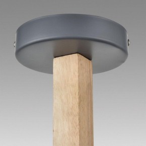 Люстра на штанге Lumion Colange 8096/3C в Камышлове - kamyshlov.ok-mebel.com | фото 9