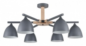 Люстра на штанге Lumion Colange 8096/6C в Камышлове - kamyshlov.ok-mebel.com | фото