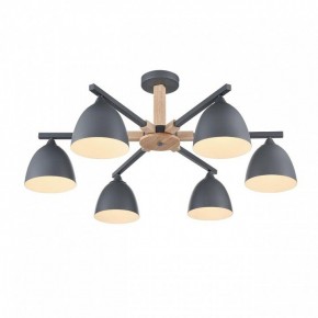 Люстра на штанге Lumion Colange 8096/6C в Камышлове - kamyshlov.ok-mebel.com | фото 3