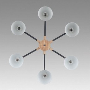 Люстра на штанге Lumion Colange 8096/6C в Камышлове - kamyshlov.ok-mebel.com | фото 4