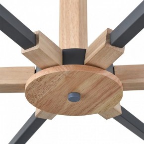Люстра на штанге Lumion Colange 8096/6C в Камышлове - kamyshlov.ok-mebel.com | фото 7
