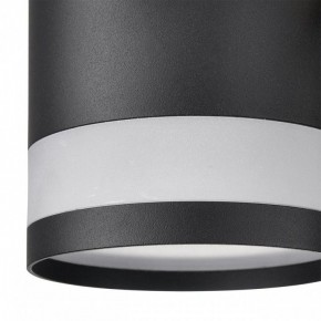 Люстра на штанге Lumion Lanika 8240/8C в Камышлове - kamyshlov.ok-mebel.com | фото 8