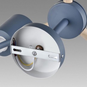 Люстра на штанге Lumion Rosalina 8098/6C в Камышлове - kamyshlov.ok-mebel.com | фото 6