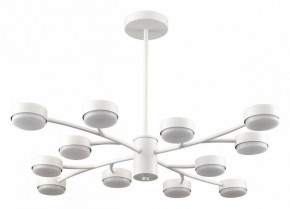 Люстра на штанге Lumion TORINA 8265/12 в Камышлове - kamyshlov.ok-mebel.com | фото