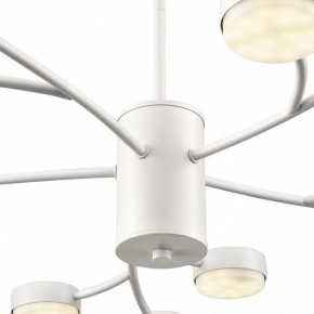 Люстра на штанге Lumion TORINA 8265/15 в Камышлове - kamyshlov.ok-mebel.com | фото 8