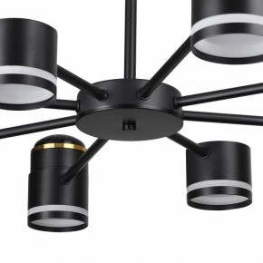 Люстра на штанге Lumion Virsava 8234/8C в Камышлове - kamyshlov.ok-mebel.com | фото 10