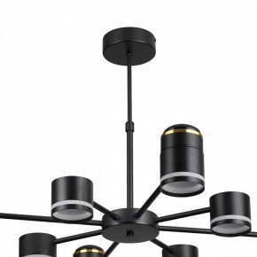 Люстра на штанге Lumion Virsava 8234/8C в Камышлове - kamyshlov.ok-mebel.com | фото 5
