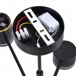 Люстра на штанге Lumion Virsava 8234/8C в Камышлове - kamyshlov.ok-mebel.com | фото 7
