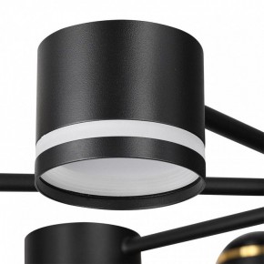 Люстра на штанге Lumion Virsava 8234/8C в Камышлове - kamyshlov.ok-mebel.com | фото 8