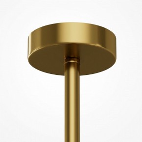 Люстра на штанге Maytoni Museo MOD436PL-07BS в Камышлове - kamyshlov.ok-mebel.com | фото 5