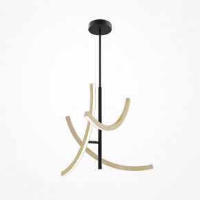 Люстра на штанге Maytoni Wabi MOD428PL-L27BK в Камышлове - kamyshlov.ok-mebel.com | фото 5