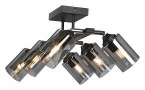 Люстра на штанге Vitaluce V2833 V2833-1/6PL в Камышлове - kamyshlov.ok-mebel.com | фото