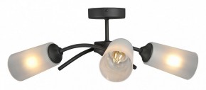 Люстра на штанге Vitaluce V2850 V2850-1/3PL в Камышлове - kamyshlov.ok-mebel.com | фото