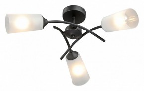 Люстра на штанге Vitaluce V2850 V2850-1/3PL в Камышлове - kamyshlov.ok-mebel.com | фото 2