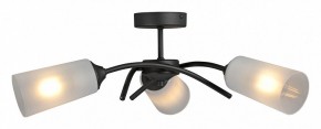 Люстра на штанге Vitaluce V2850 V2850-1/3PL в Камышлове - kamyshlov.ok-mebel.com | фото 3