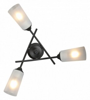 Люстра на штанге Vitaluce V2850 V2850-1/3PL в Камышлове - kamyshlov.ok-mebel.com | фото 4