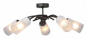 Люстра на штанге Vitaluce V2850 V2850-1/5PL в Камышлове - kamyshlov.ok-mebel.com | фото