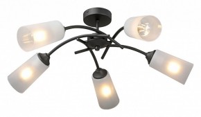 Люстра на штанге Vitaluce V2850 V2850-1/5PL в Камышлове - kamyshlov.ok-mebel.com | фото 2