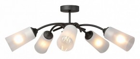 Люстра на штанге Vitaluce V2850 V2850-1/5PL в Камышлове - kamyshlov.ok-mebel.com | фото 3