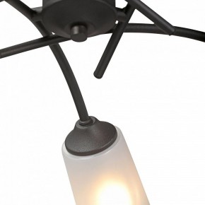 Люстра на штанге Vitaluce V2850 V2850-1/5PL в Камышлове - kamyshlov.ok-mebel.com | фото 6