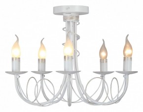 Люстра на штанге Vitaluce V3035 V3035-0/5PL в Камышлове - kamyshlov.ok-mebel.com | фото 2
