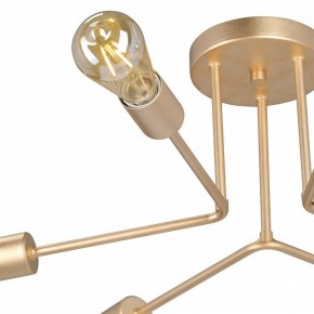 Люстра на штанге Vitaluce V3071 V3071-8/6PL в Камышлове - kamyshlov.ok-mebel.com | фото 6