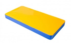 Мат гимнастический 1х0,5х0,08м цв. синий-желтый в Камышлове - kamyshlov.ok-mebel.com | фото 1