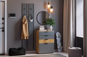 МЕБЕЛЬСОН К21 Прихожая  (графит) в Камышлове - kamyshlov.ok-mebel.com | фото
