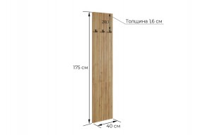МЕБЕЛЬСОН К8 Прихожая в Камышлове - kamyshlov.ok-mebel.com | фото 3