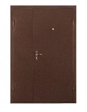 Металлическая дверь ПРОФИ DL (МЕТАЛЛ-МЕТАЛЛ) 2050*1250/ПРАВАЯ в Камышлове - kamyshlov.ok-mebel.com | фото