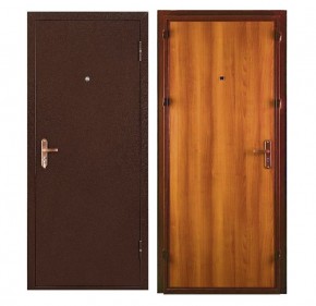 Металлическая дверь СПЕЦ ПРО (МЕТАЛЛ-ПАНЕЛЬ) 2060*860/ЛЕВАЯ в Камышлове - kamyshlov.ok-mebel.com | фото
