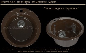Мойка кухонная MS-1 (D470) в Камышлове - kamyshlov.ok-mebel.com | фото 11