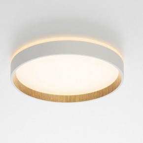 Накладной светильник Citilux Etalon CL750240 в Камышлове - kamyshlov.ok-mebel.com | фото 12