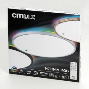 Накладной светильник Citilux NORMA CL749400 в Камышлове - kamyshlov.ok-mebel.com | фото 15