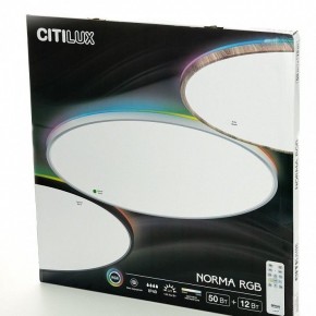 Накладной светильник Citilux NORMA CL749600 в Камышлове - kamyshlov.ok-mebel.com | фото 8
