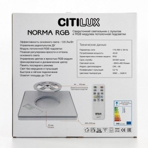 Накладной светильник Citilux Norma CL749K301 в Камышлове - kamyshlov.ok-mebel.com | фото 10